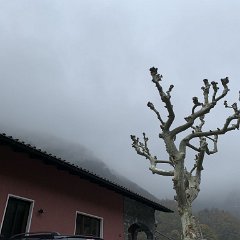 IMG_3119