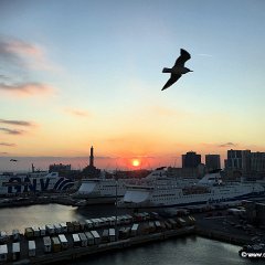 IMG_4420
