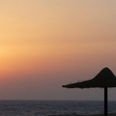 MarsaAlam2010008