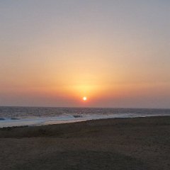 MarsaAlam2010010